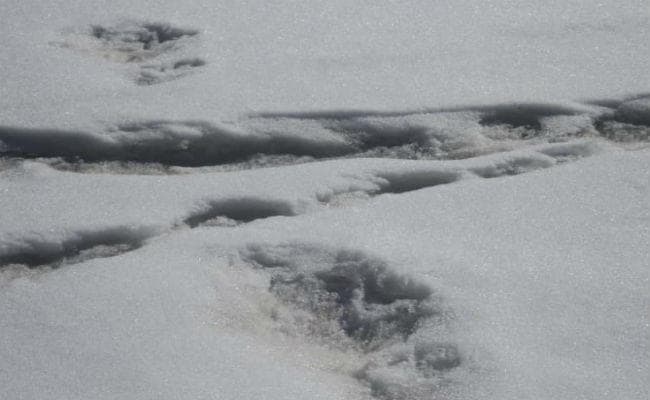 क्या हिममानव जिंदा हैं ? यह रहा सबूत, सेना ने किया ये ट्वीट, देखें तस्वीर