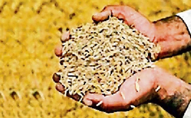 33 लाख हेक्टेयर में होगी धान की खेती