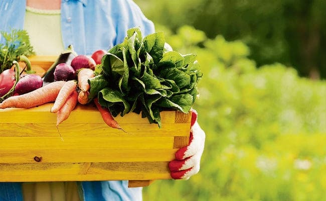 खान-पान की सही आदतों से अस्थमा को करें कंट्रोल