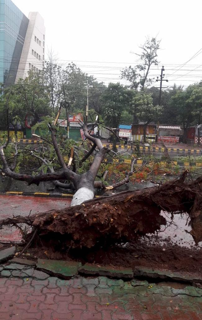 प्रचंड हवा और भारी बारिश के साथ ''''FANI'''' तूफान ने दी ओडिशा में दस्तक