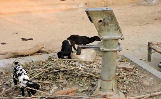 चापाकल फेल, कच्चे कुएं का दूषित पानी पीकर कट रही आदिवासियों की जिंदगानी