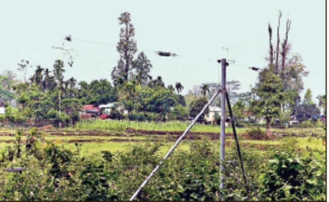 फेंसिंग के बाद हाथियों का तांडव थमा