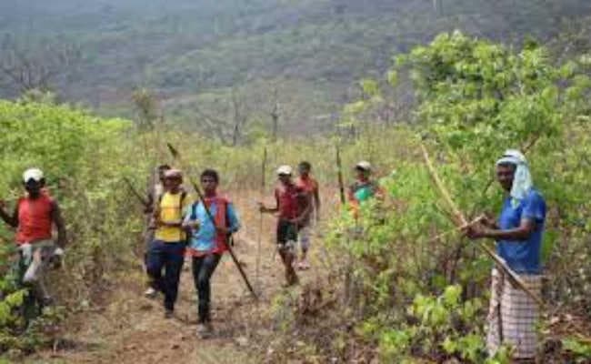 सेंदरा आज : तीर-धनुष की पूजा कर दलमा रवाना हुए वीर