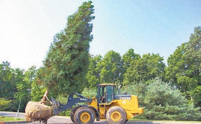 पटना : नहीं कटेंगे गर्दनीबाग के पेड़, मशीन से उखाड़कर लगाये जायेंगे गंगा किनारे