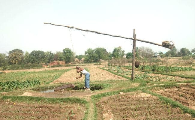बड़कागांव में आज भी लाठ-कुंडी के सहारे सिंचाई करते हैं किसान