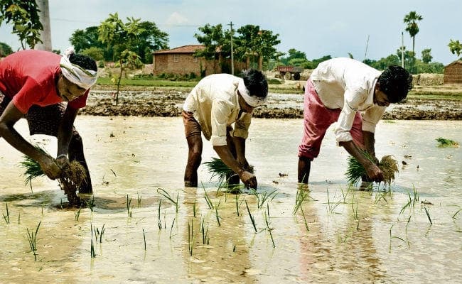 पटना : आधुनिक तरीके से खेती करने को किसानों का कौशल विकास