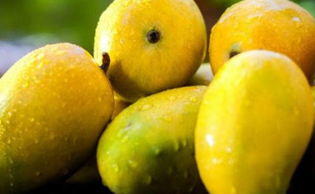 राष्ट्रपति और प्रधानमंत्री को ''अंग की सौगात'' : दो जून को दिल्ली भेजे जायेंगे 1200 पैकेट जर्दालू आम