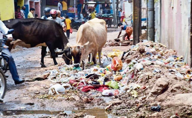 खुदाई ने रोका सड़क-पानी का रास्ता