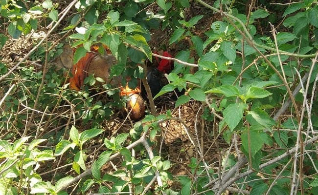 Simdega : धारदार हथियार से महिला की हत्या