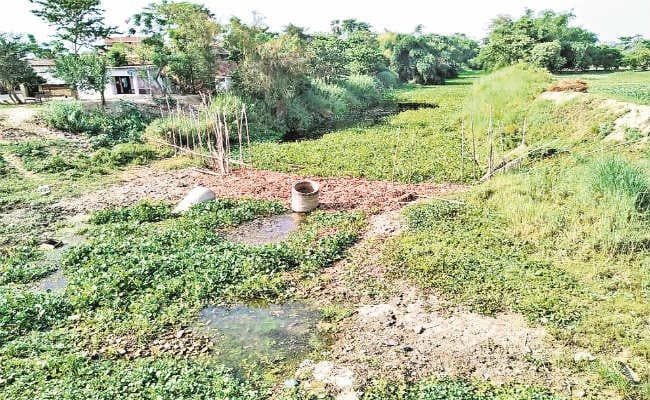 कलकल बहती नदियों की सूख गयी धार