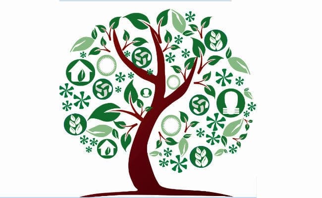 विश्व पर्यावरण दिवस पर विशेष: अब भी नहीं चेते तो स्वच्छ हवा-पानी के लिए तरसेंगे