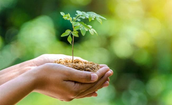 पर्यावरण दिवस पर विशेष : अब भी वक्त है सुधरने का नहीं सुधरे, ताे जायेगी जान