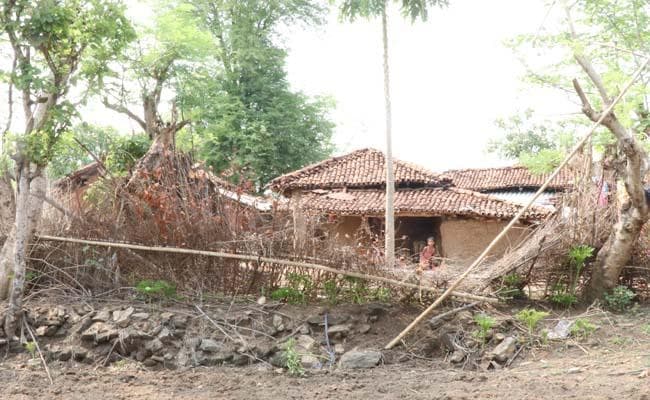 WorldEnvironmentDay : जानें झारखंड के पर्यावरण संरक्षक और उनके योगदान को