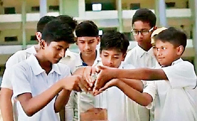 आइसीसी क्रिकेट वर्ल्ड कप : धौनी और कुलदीप को संदेश दे रहे हैं रांची के दुलार और कमल