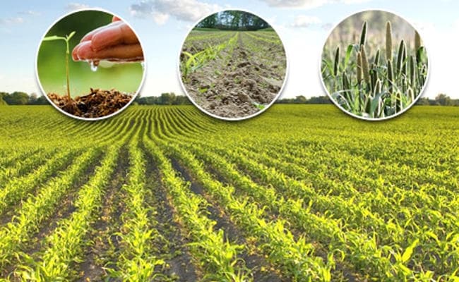 किसानों को मृदा स्वास्थ्य कार्ड के फायदे बताने के लिए झारखंड के गांवों में खेती करेंगे कृषि विशेषज्ञ