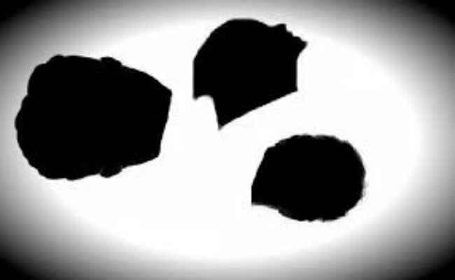 फतुहा में महिला समेत तीन के कटे सिर बरामद, धड़ गायब