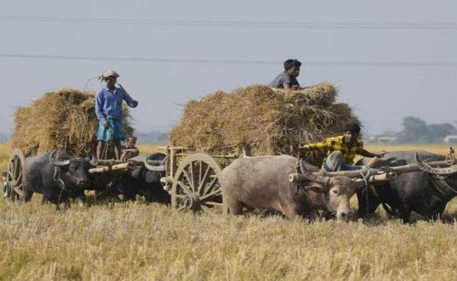 देश के सभी किसानों को मिलेगा प्रधानमंत्री किसान योजना का लाभ, सरकार ने फैसले को अधिसूचित किया