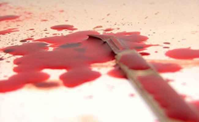 ईंट से कूचकर भाभी की हत्या