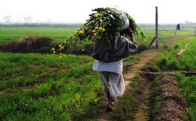 धनबाद में 1,02,048 लोगों ने पीएम कृषि सम्मान निधि के लिए आवेदन दिया, 76,198 की जांच, 67,550 निकले फर्जी
