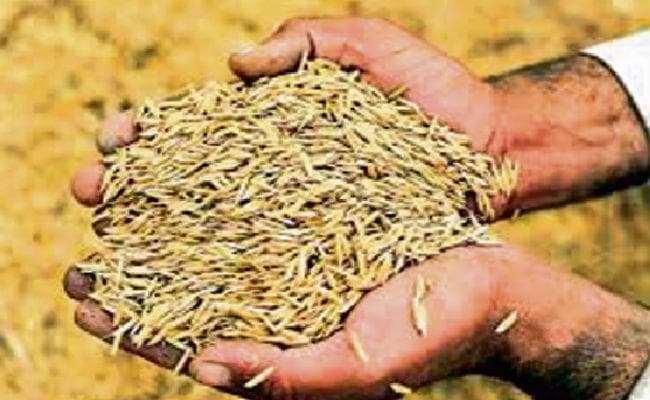 रांची : धान खरीद घोटाला के 48 केस पुलिस मुख्यालय भेजे गये