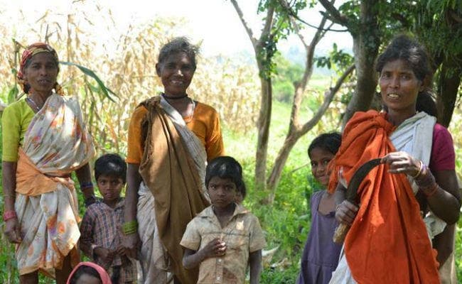 गुमनामी में जी रहे हैं छत्तीसगढ़ में हिंसा के कारण विस्थापित हुए आदिवासी