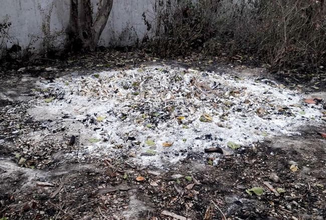 मुजफ्फरपुर : SKMCH के पीछे वन विभाग की जमीन में मिले नरकंकाल के अवशेष, ...जानें क्या है मामला?