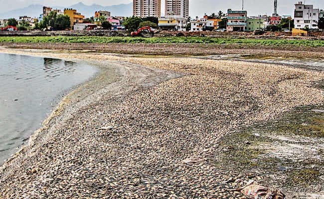 जल संकट : 2030 तक झारखंड के कई शहरों में खत्म हो जायेगा पानी