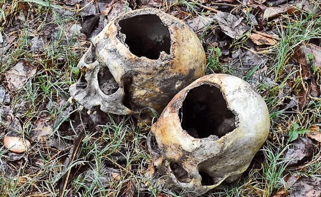 मुजफ्फरपुर में हड्डियां और नरमुंड मिलने से सनसनी, जानें पूरा मामला