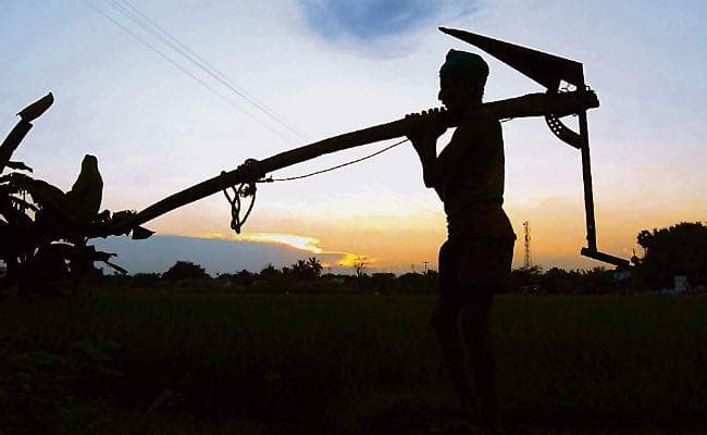 पटना : आर्द्रा के आगमन के साथ बरसा पानी, किसानों के चेहरे पर आयी हरियाली