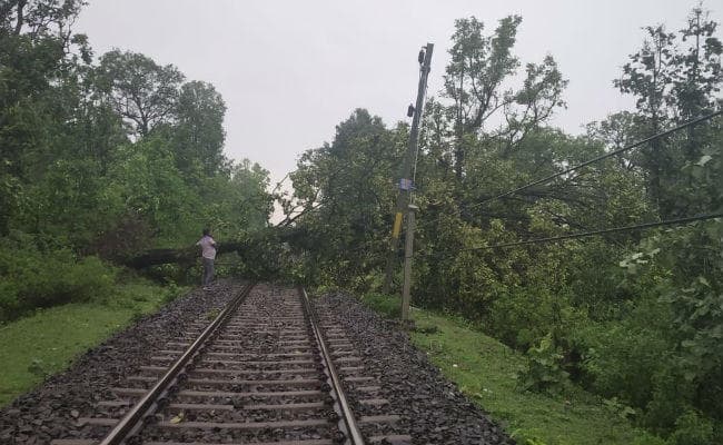 गंगाघाट और जोन्हा के बीच रेलवे ट्रैक पर गिरा पेड़, कई ट्रेनें विलंब से चलीं