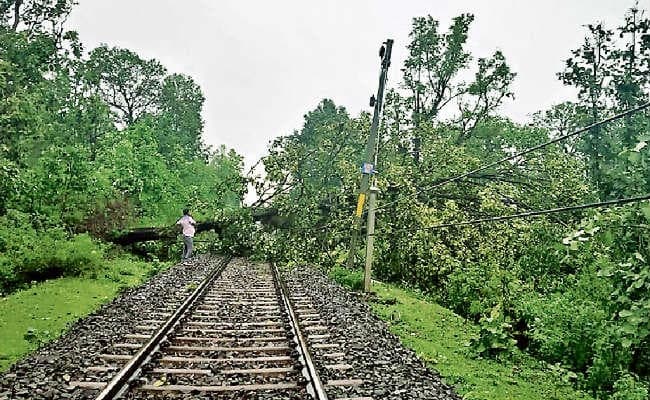 रांची : गंगाघाट और जोन्हा के बीच ट्रैक पर गिरा पेड़, घंटों विलंब से गयीं कई ट्रेनें