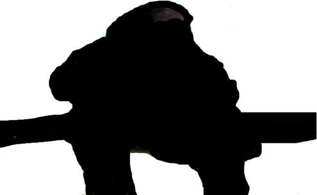 प्रेमी के शादी करने से क्षुब्ध होकर धरने पर बैठी प्रेमिका ने छोड़ी जिद, ...जानें क्यों?