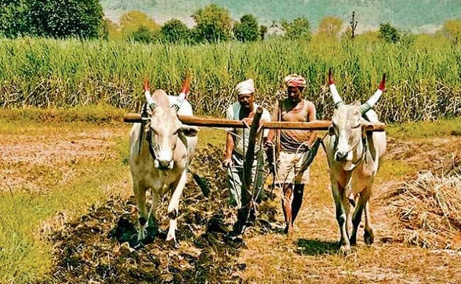 कृषि विभाग की गलती से अयोग्य को भी मिला लाभ