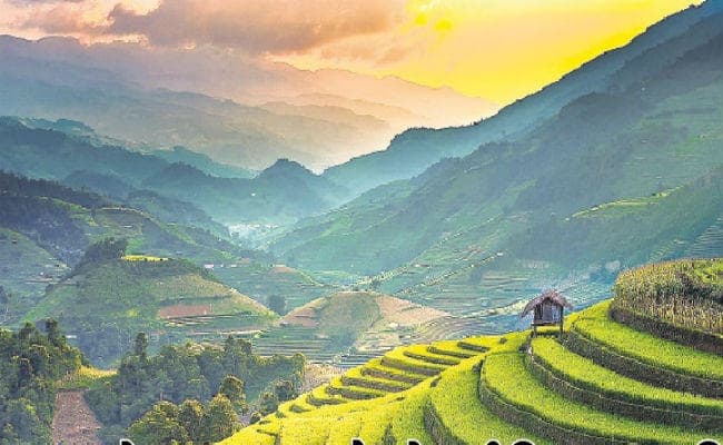 नेचर लवर हैं तो कीजिए प्रकृति की गोद में बसी कौसानी की सैर