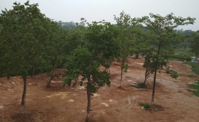 रांची, जमशेदपुर, बोकारो समेत कई जिलों में कल हो सकती है भारी बारिश, जानें इस बार कहां हुई सामान्य से ज्यादा बारिश