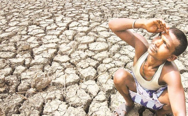 झारखंड में 55 फीसदी कम हुई बारिश, खेती प्रभावित