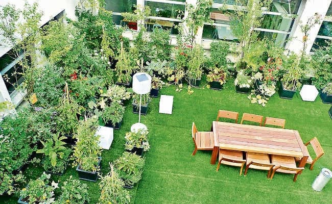 पटना : सरकार बागवानी को देगी बढ़ावा, 940 हेक्टेयर में लगेगा आम, लीची व आंवले का बगीचा