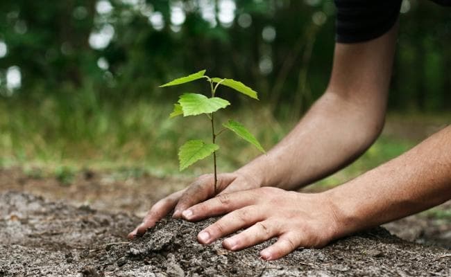 पेड़ लगाओ-पृथ्वी बचाओ के तहत चालकों को दिये गये पौधे