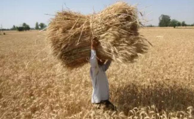 केंद्रीय बजट : भूमिहीन किसानों को भी मिल सकता है पीएम सम्मान योजना का लाभ