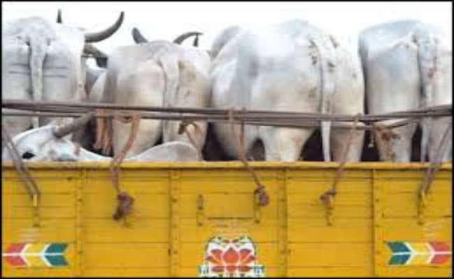बंगाल से बांग्लादेश हो रही है लाखों गायों की तस्करी : अर्जुन