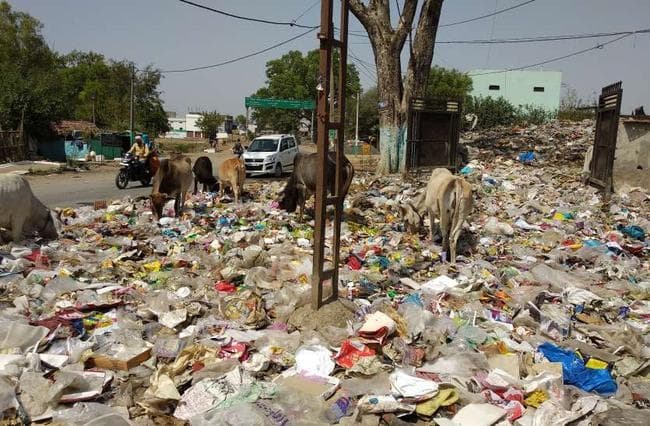 गया : कचरे का उठाव नहीं होने से दिक्कत