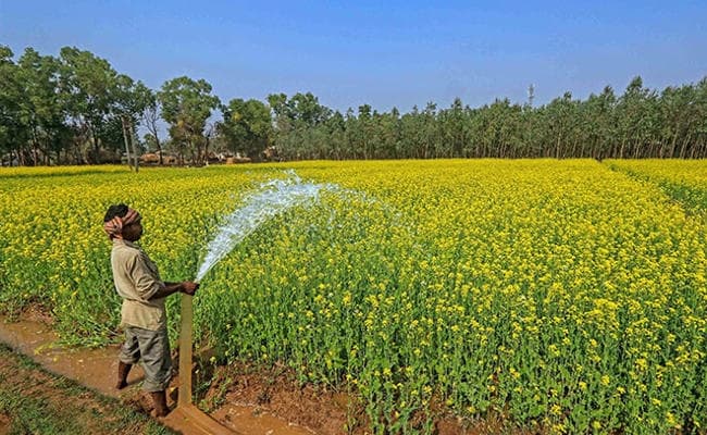#EcoSurvey2019 : कृषि का फोकस ‘भूमि की उत्पादकता’ से अब ‘सिंचाई जल उत्पादकता’ की तरफ