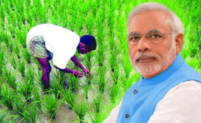 पांच करोड़ से अधिक किसानों को मिला पीएम किसान योजना का लाभ, सोशल सर्विस पर बढ़ा खर्च