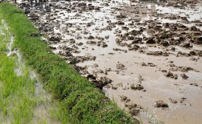 बिहार में वर्ष 2019-20 में 77279 हेक्टयर क्षेत्र में अतिरिक्त सिंचाई क्षमता के सृजन का लक्ष्य : जल संसाधन मंत्री