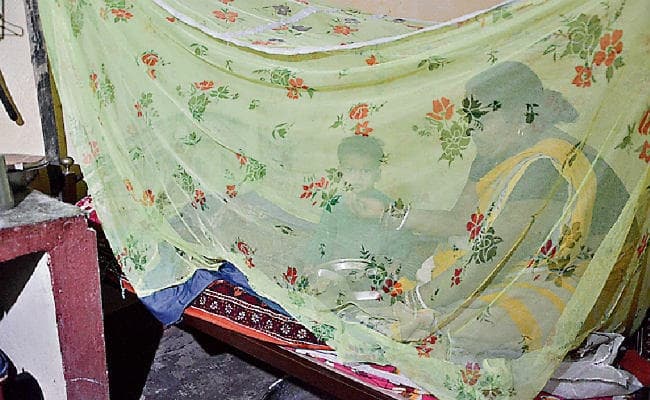 रांची : मच्छरदानी में कैद हुई झिरी के लोगों की जिंदगी