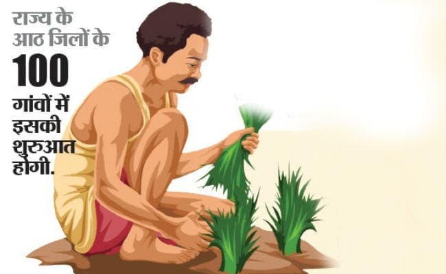 पटना : मौसम के हिसाब से किसानों को मिलेगी खेती की ट्रेनिंग