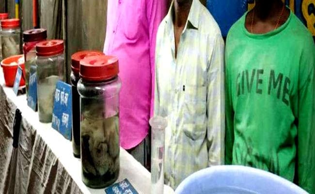 रांची: जगन्नाथपुर मेले में नवजात के शव के साथ दिखा रहे थे तमाशा, तीन हिरासत में