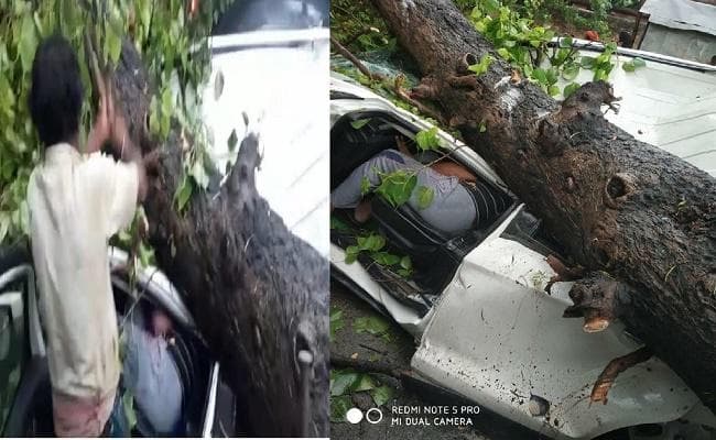 गोपालगंज : चलती कार पर गिरा पीपल का पेड़, हार्डवेयर कारोबारी की दर्दनाक मौत, चालक घायल