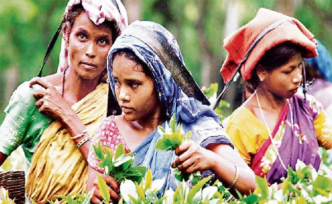 छूटती जाती आदिवासी जमीन