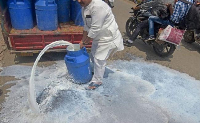 गोवा विधानसभा के बाहर किसानों ने सड़कों पर उड़ेला सैकड़ों लीटर दूध, वजह...?